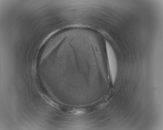 X0000078870484200612042002