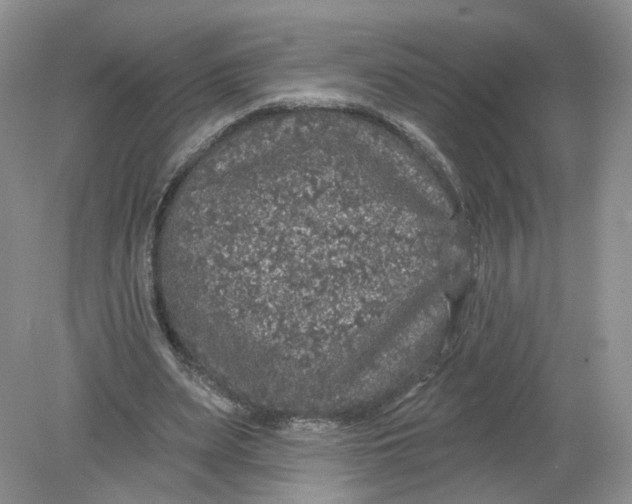 X0000078870487200612042002