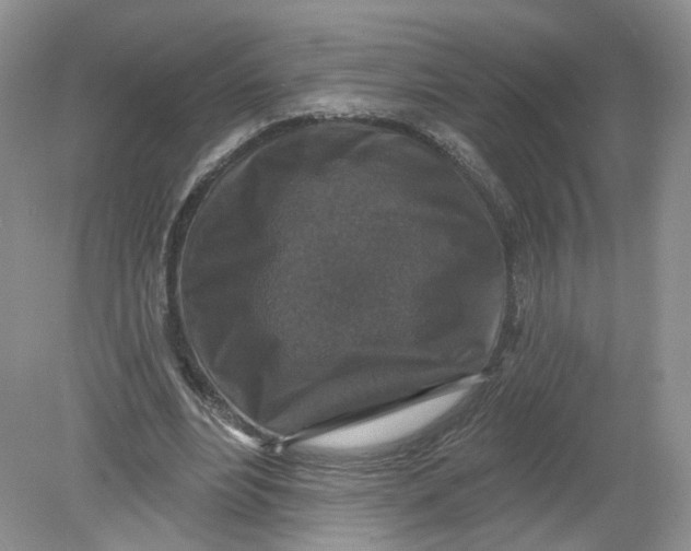 X0000078870488200612042002