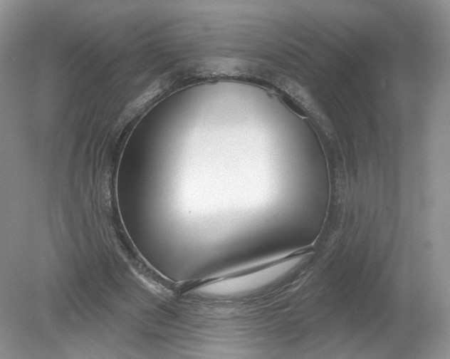 X0000078870489200612042002