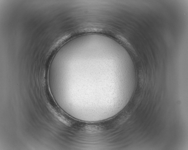 X0000078870490200612042002