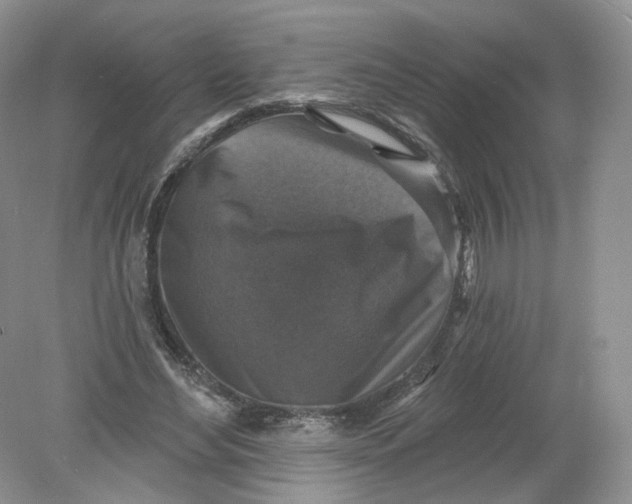 X0000078870492200612042002