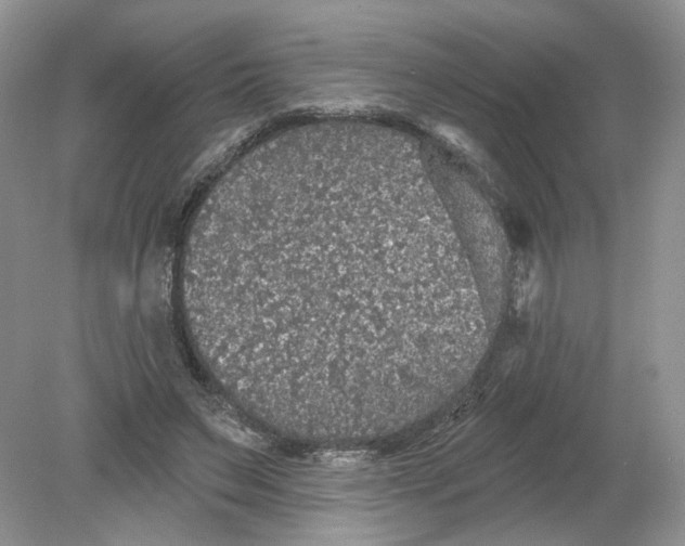 X0000078870495200612042002