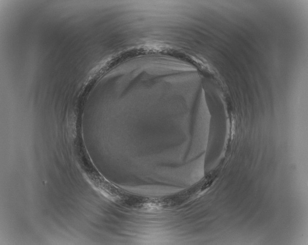 X0000078870496200612042002