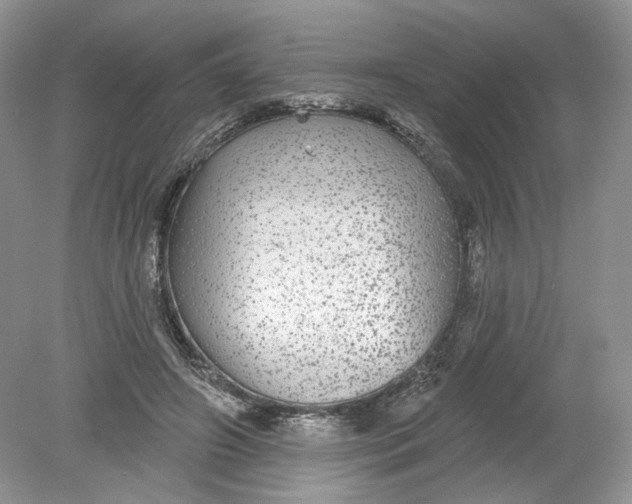 X0000078870498200612042002