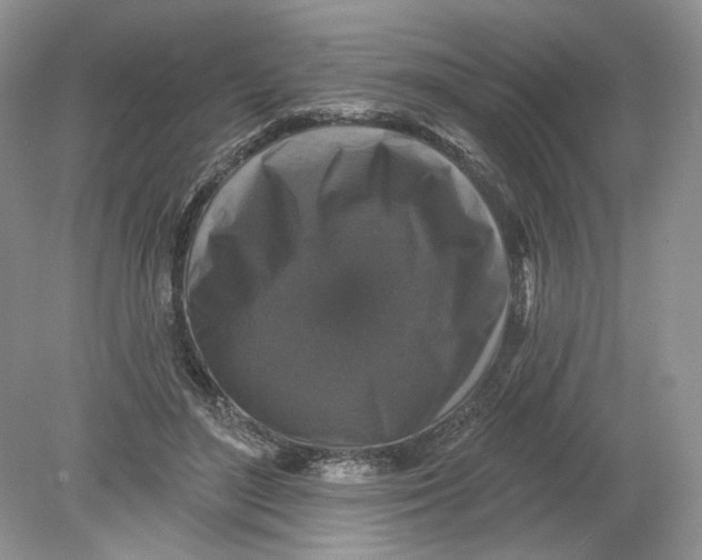 X0000078870500200612042002