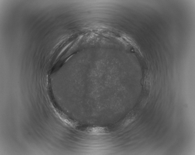 X0000078870501200612042002