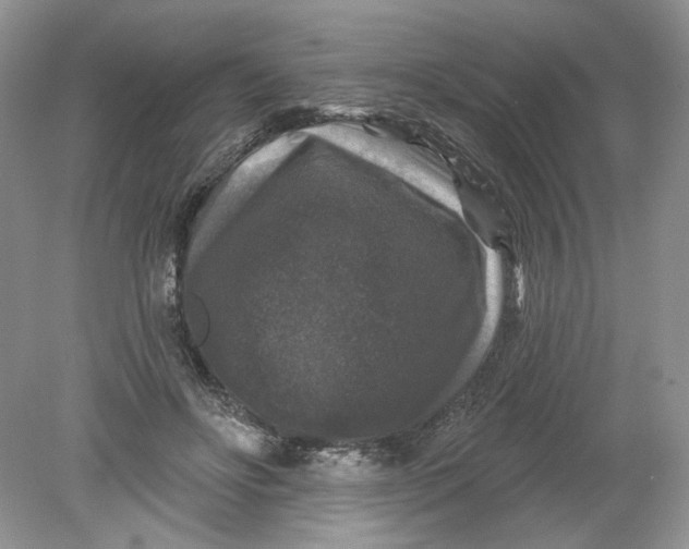 X0000078870502200612042002