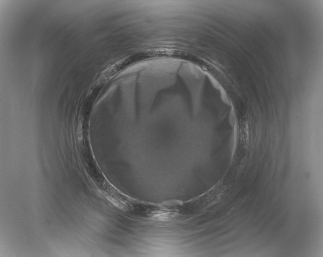 X0000078870504200612042002