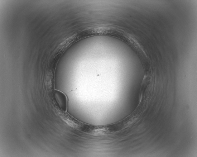 X0000078870505200612042002