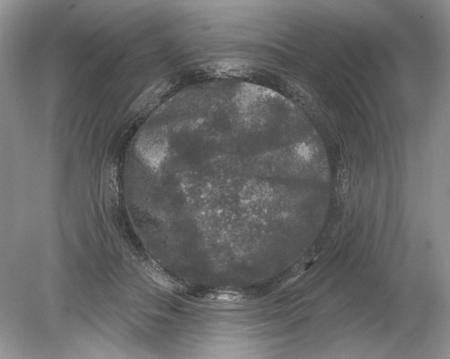 X0000078870506200612042002