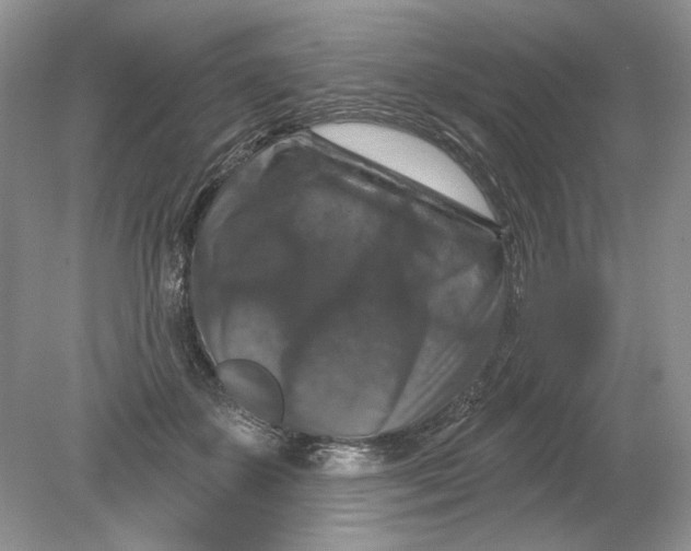 X0000078870507200612042001