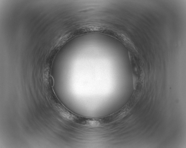 X0000078870509200612042001