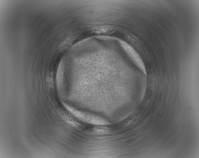 X0000078870510200612042001