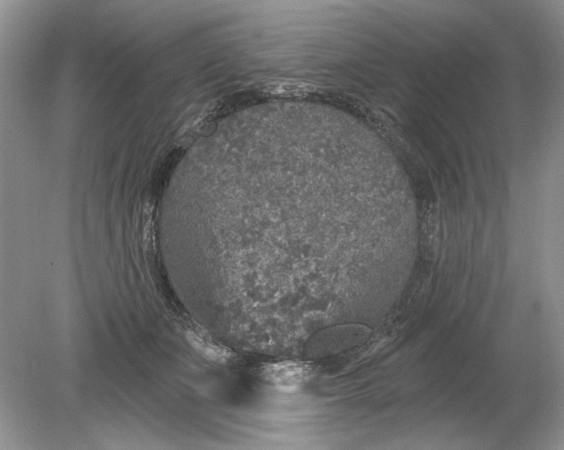 X0000078870511200612042001