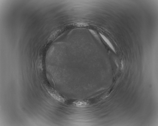 X0000078870512200612042001