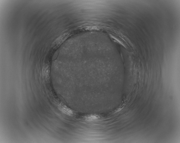 X0000078870513200612042001