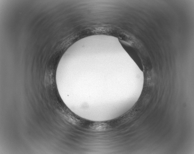 X0000078870514200612042001