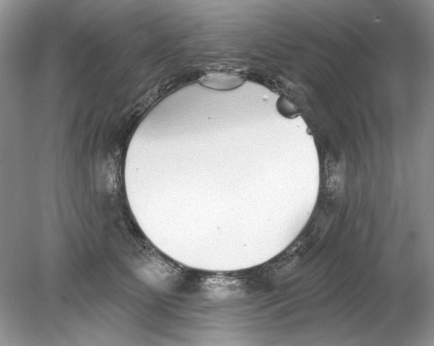 X0000078870515200612042001