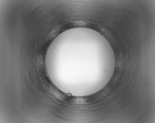 X0000078870518200612042001