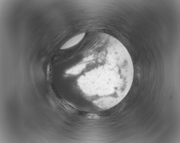 X0000078870519200612042001