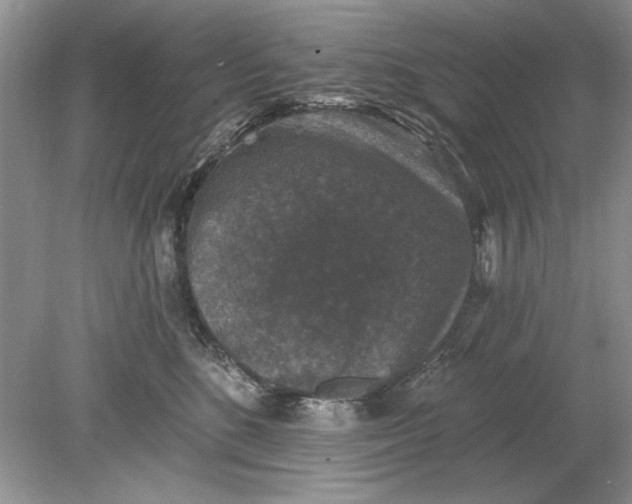 X0000078870520200612042001