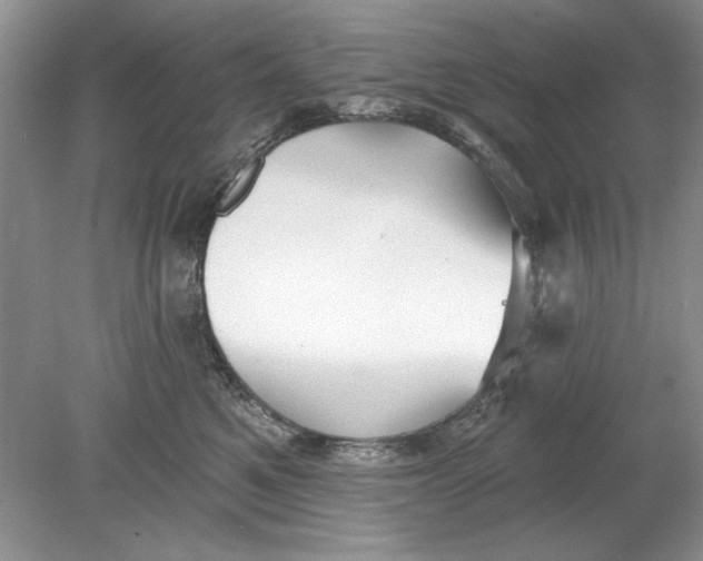 X0000078870521200612042001