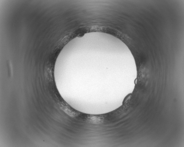 X0000078870522200612042001