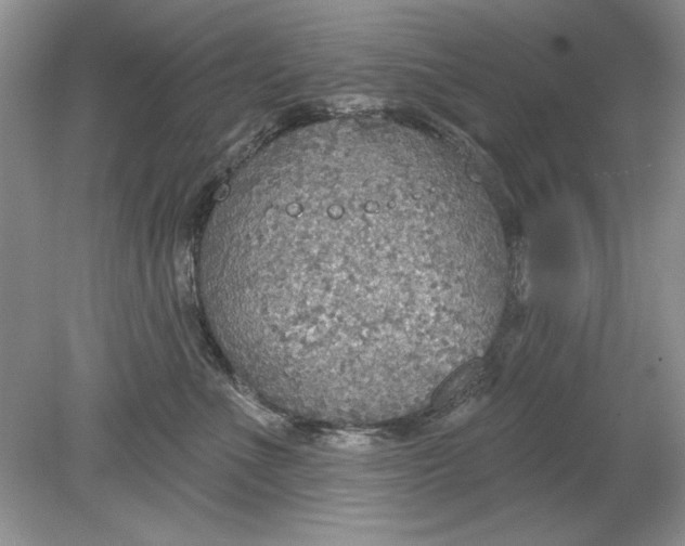 X0000078870523200612042001