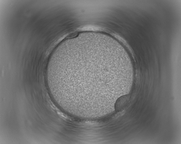 X0000078870529200612042000