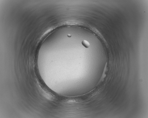 X0000078870530200612042000