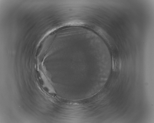 X0000078870531200612042000