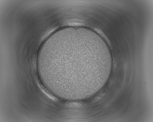 X0000078870533200612042000