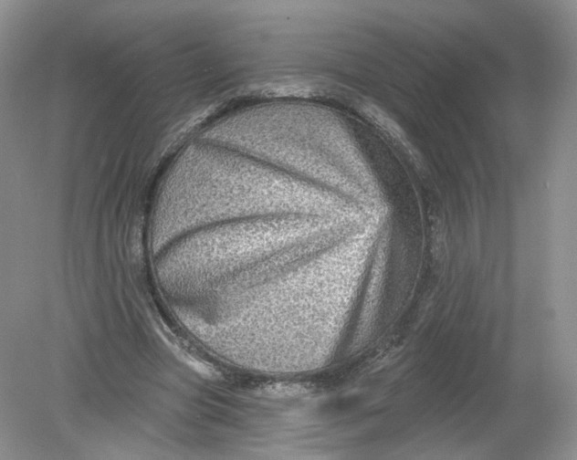 X0000078870537200612042000