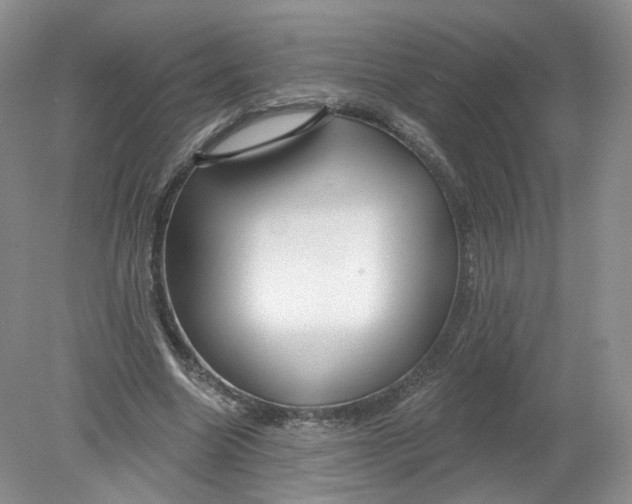 X0000078870538200612042000