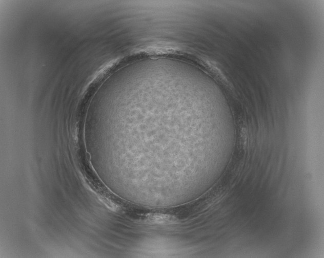 X0000078870539200612042000