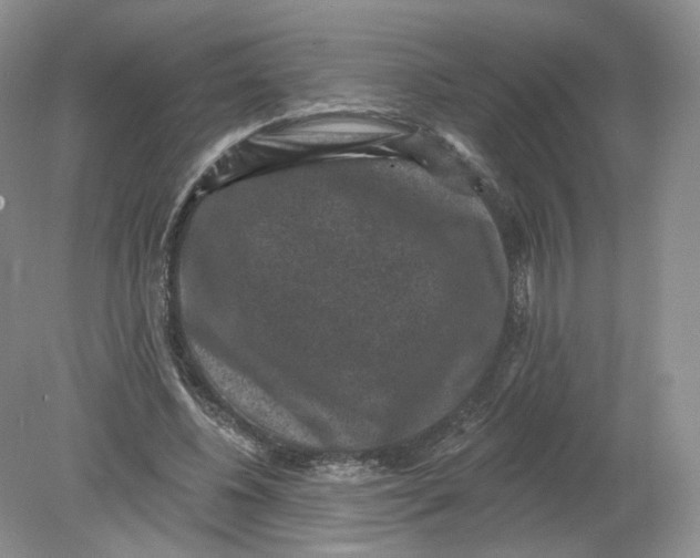 X0000078870540200612042001