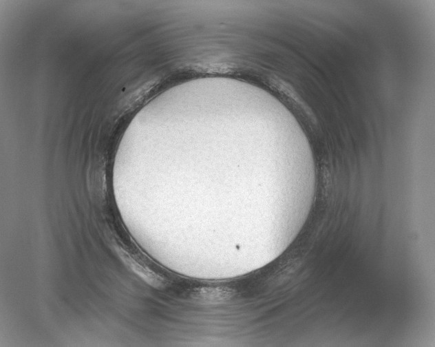 X0000078870541200612042001