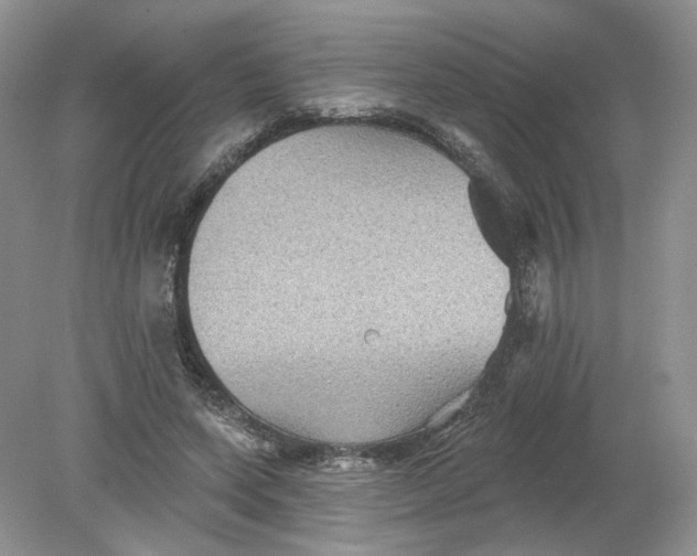 X0000078870543200612042001