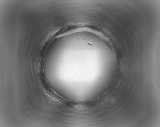 X0000078870544200612042001