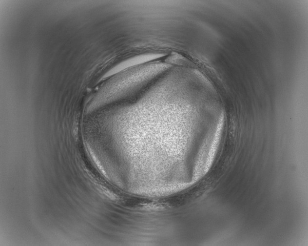 X0000078870545200612042001