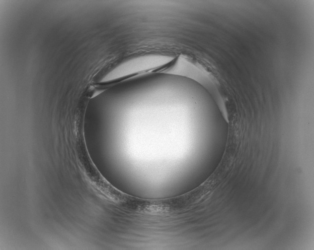 X0000078870546200612042001