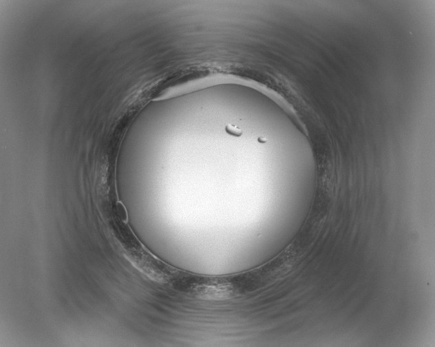 X0000078870548200612042001