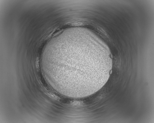 X0000078870549200612042001