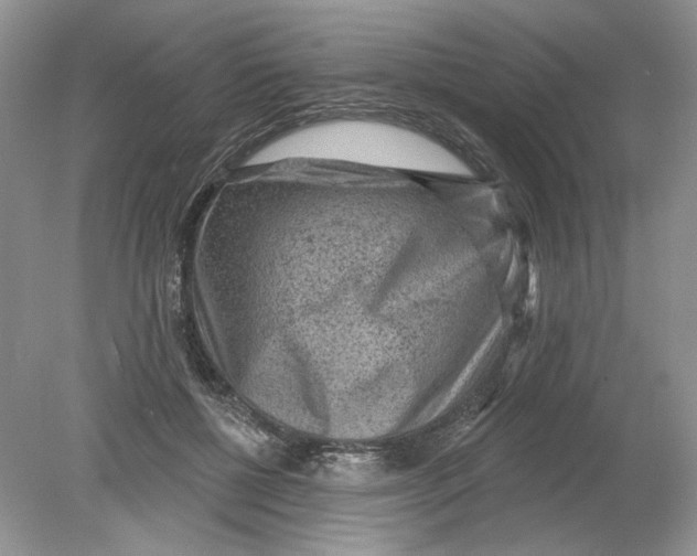 X0000078870552200612042001