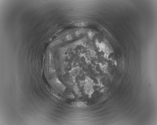 X0000078870553200612042001