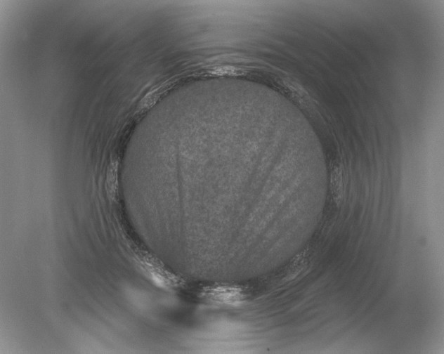 X0000078870554200612042001