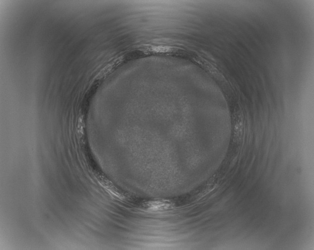 X0000078870555200612042001