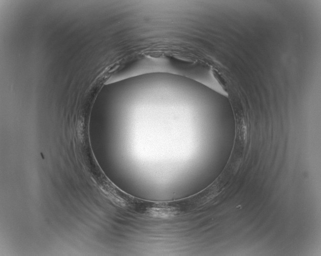 X0000078870556200612042001