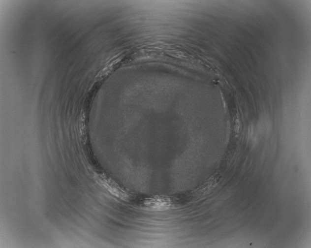 X0000078870559200612042001